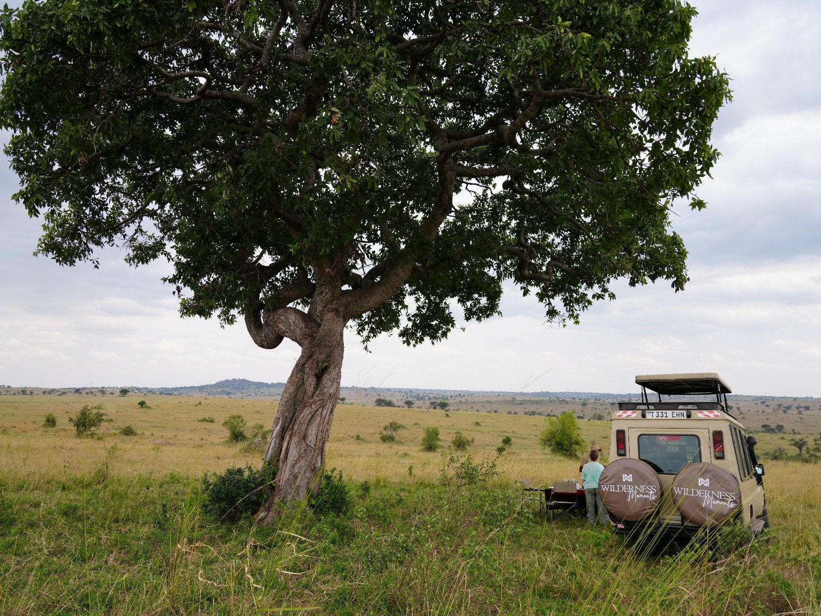 Safari vehicle and picnic table beneath an acacia tree on the Serengeti plains